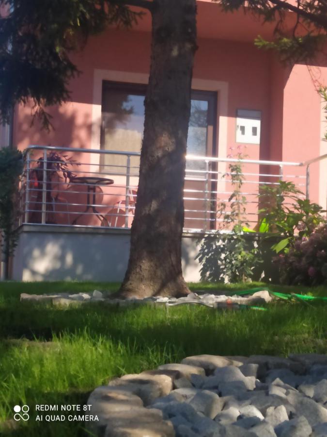 Studio 2 Golubac Buitenkant foto